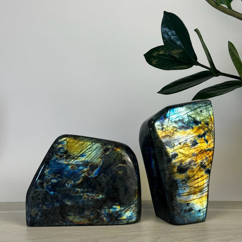 Intuitively Picked Labradorite Free Form - Kenna's Crystals