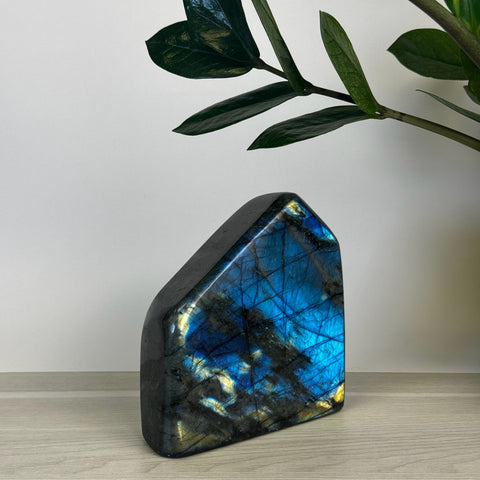 Intuitively Picked Labradorite Free Form - Kenna's Crystals