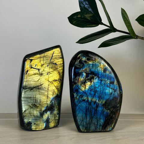 Intuitively Picked Labradorite Free Form - Kenna's Crystals