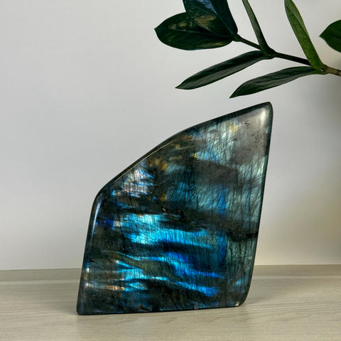 Intuitively Picked Labradorite Free Form - Kenna's Crystals