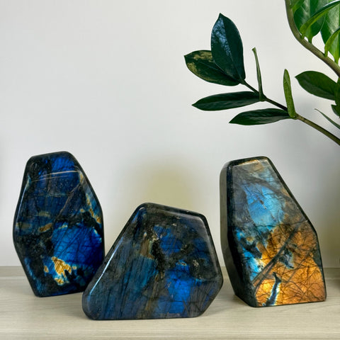 Intuitively Picked Labradorite Free Form - Kenna's Crystals