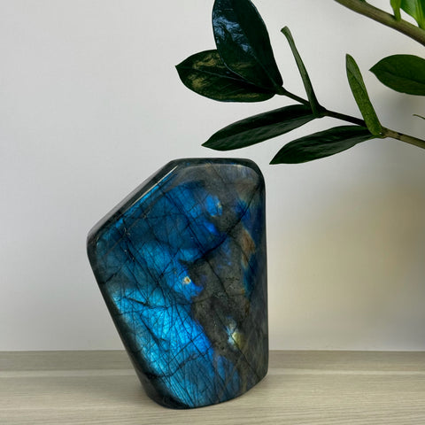 Intuitively Picked Labradorite Free Form - Kenna's Crystals