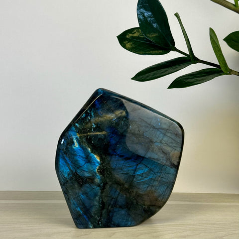 Intuitively Picked Labradorite Free Form - Kenna's Crystals