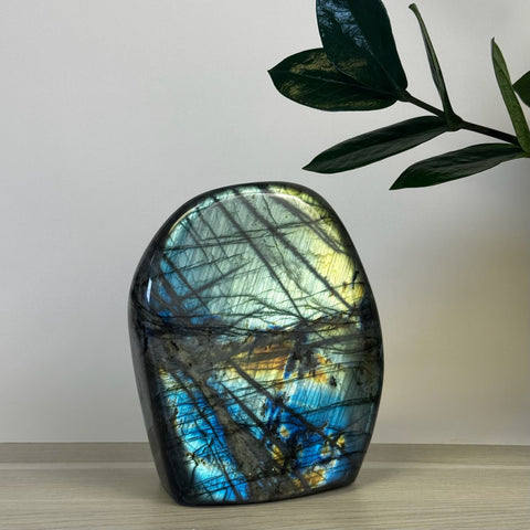 Intuitively Picked Labradorite Free Form - Kenna's Crystals