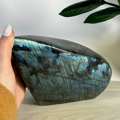 Intuitively Picked Labradorite Free Form - Kenna's Crystals