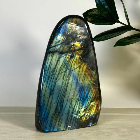 Intuitively Picked Labradorite Free Form - Kenna's Crystals