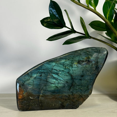 Intuitively Picked Labradorite Free Form - Kenna's Crystals