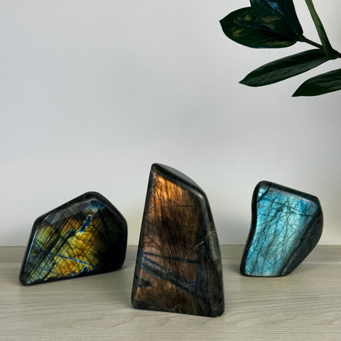 Intuitively Picked Labradorite Free Form - Kenna's Crystals