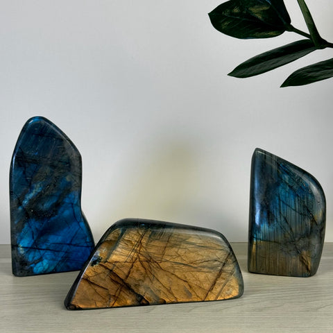 Intuitively Picked Labradorite Free Form - Kenna's Crystals
