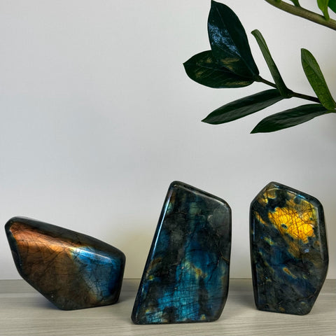 Intuitively Picked Labradorite Free Form - Kenna's Crystals