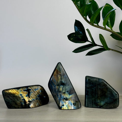 Intuitively Picked Labradorite Free Form - Kenna's Crystals