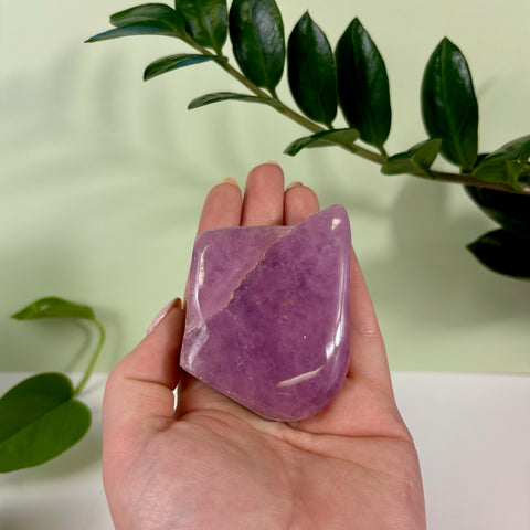 Polished jelly pink aragonite free form crystal held in a palm against a green plant background.