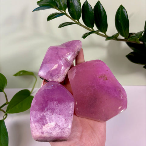 Three polished jelly pink aragonite free form crystals held in a hand against a green plant background.