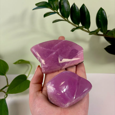 Two polished, jelly pink aragonite free form crystals held in a hand against a green plant background.