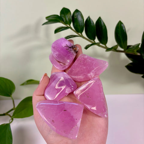 Hand holding several polished, translucent jelly pink aragonite free form crystals with smooth, organic shapes.