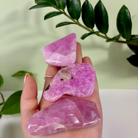 Hand holding three polished, jelly pink aragonite free form crystals with smooth, translucent textures.