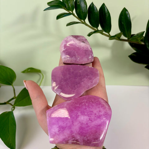 Three polished jelly pink aragonite free form crystals held in a hand against a green plant background.
