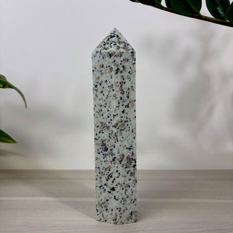 Kiwi Jasper Tower - Kenna's Crystals
