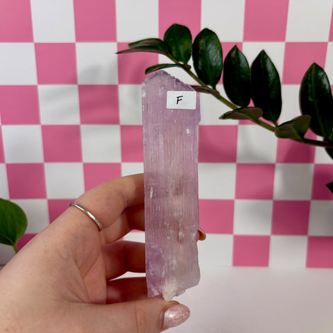 Kunzite Specimen - Kenna's Crystals