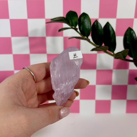 Kunzite Specimen - Kenna's Crystals