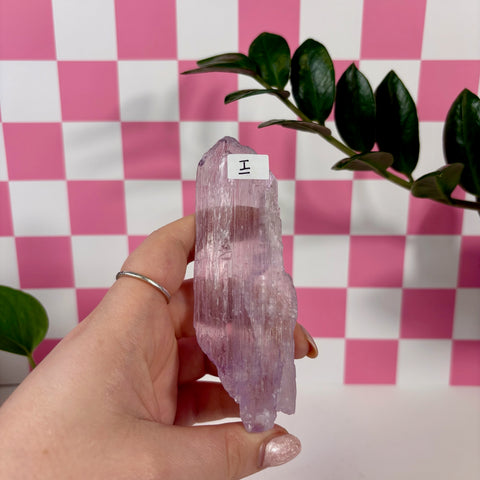 Kunzite Specimen - Kenna's Crystals