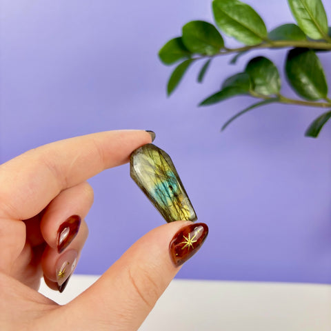 Labradorite Coffin - Kenna's Crystals