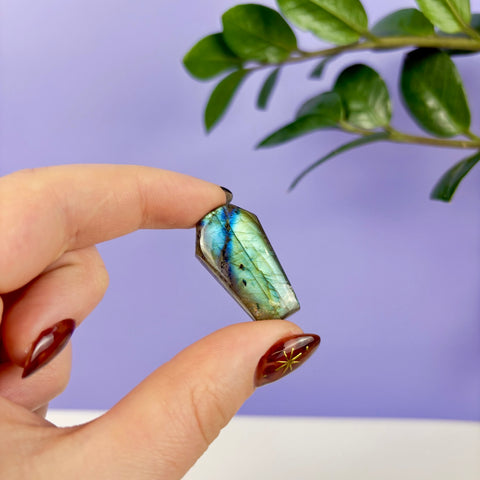 Labradorite Coffin - Kenna's Crystals