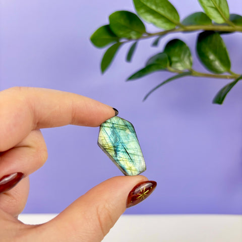 Labradorite Coffin - Kenna's Crystals