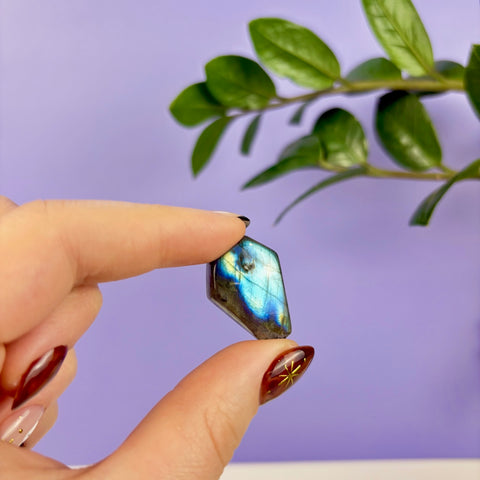Labradorite Coffin - Kenna's Crystals