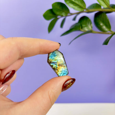 Labradorite Coffin - Kenna's Crystals