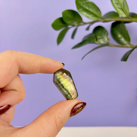 Labradorite Coffin - Kenna's Crystals