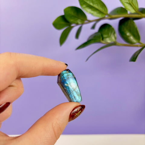 Labradorite Coffin - Kenna's Crystals