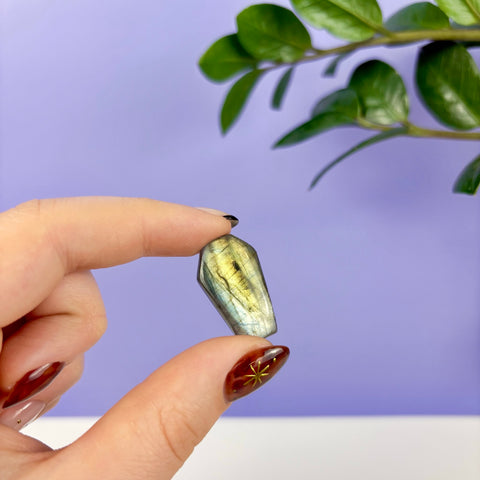 Labradorite Coffin - Kenna's Crystals
