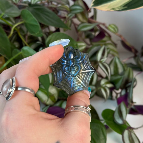 Labradorite Spider Web 1 - Kenna's Crystals from TikTok