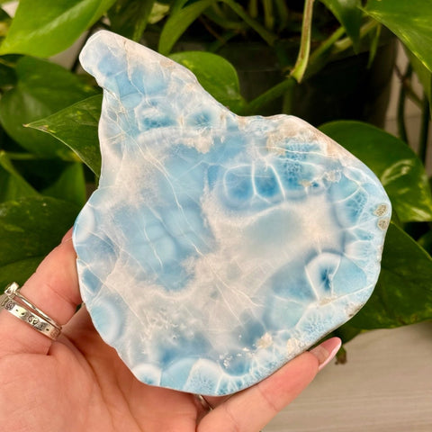 Larimar Slab 1088 14 - Kenna's Crystals from TikTok