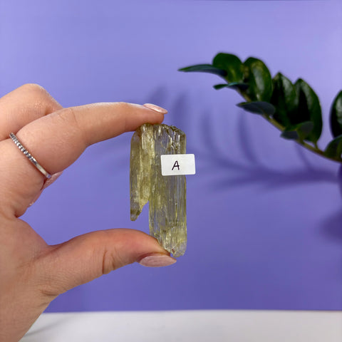 Lime Kunzite - Kenna's Crystals