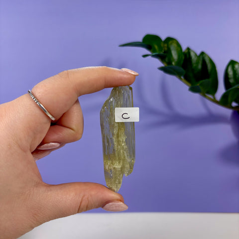 Hand holding a translucent, elongated lime kunzite crystal labeled C against a purple background.