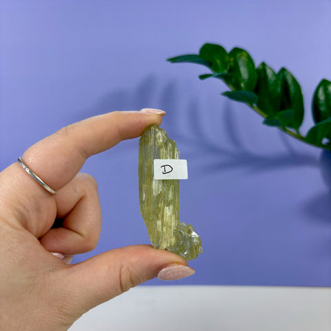 Lime Kunzite - Kenna's Crystals