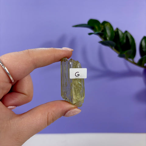 Lime Kunzite - Kenna's Crystals