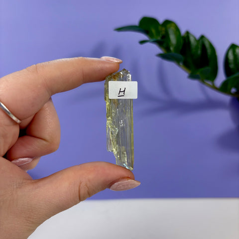 Hand holding a translucent, pale yellow Lime Kunzite crystal specimen labeled with an H tag against a purple background.