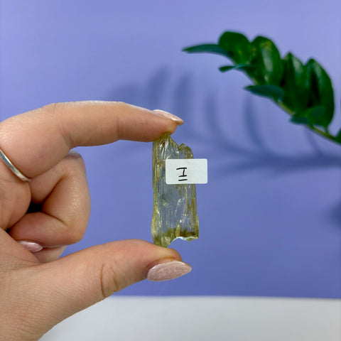 Hand holding a translucent, elongated lime kunzite crystal labeled with the letter I against a purple background.