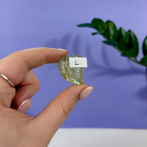 Hand holding a raw, translucent lime kunzite crystal labeled L against a purple background with a green plant.