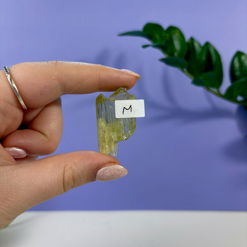 Hand holding a translucent lime kunzite crystal labeled size M against a purple background.