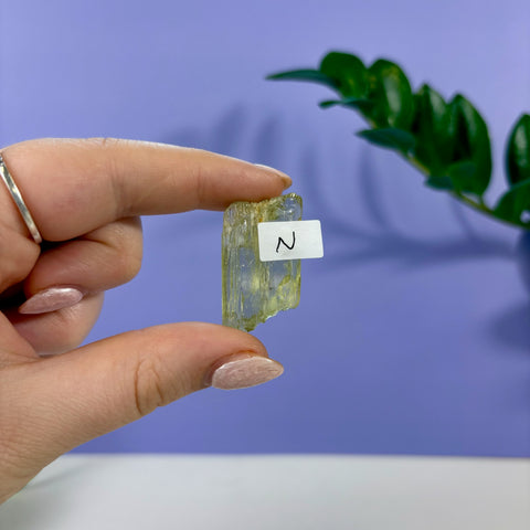 Lime Kunzite - Kenna's Crystals