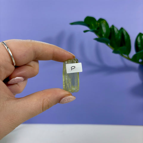 Hand holding a translucent, rectangular lime kunzite crystal labeled with the letter P against a purple background.
