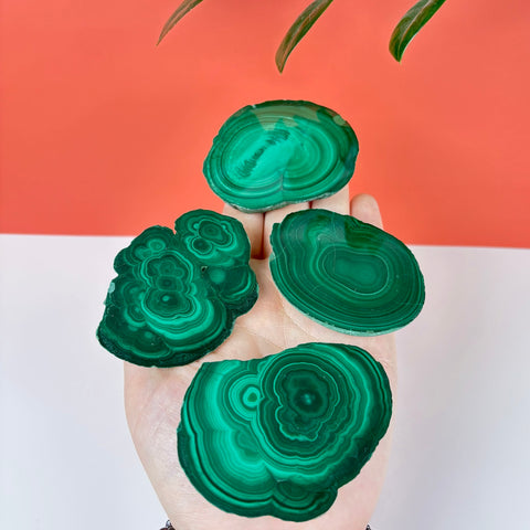 Meadow Malachite Slice - Kenna's Crystals