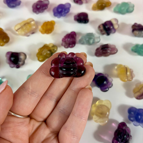 Mini Candy Fluorite Bee - Kenna's Crystals