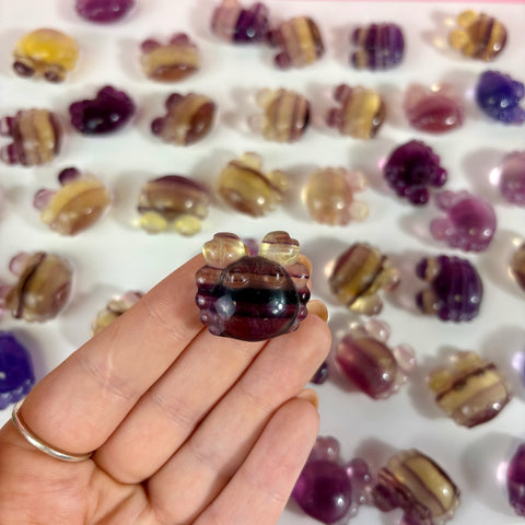 Mini Candy Fluorite Crab - Kenna's Crystals