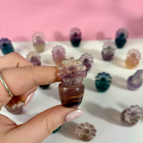 Mini Candy Fluorite Potted Plant - Kenna's Crystals