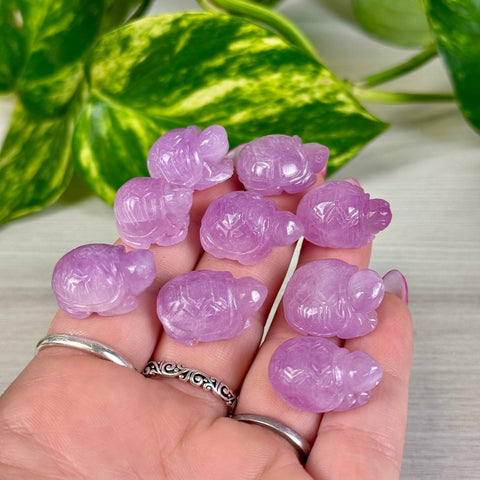 Mini Kunzite Turtle 111 1 - Kenna's Crystals from TikTok